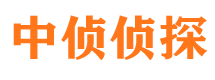 沙坪坝找人公司